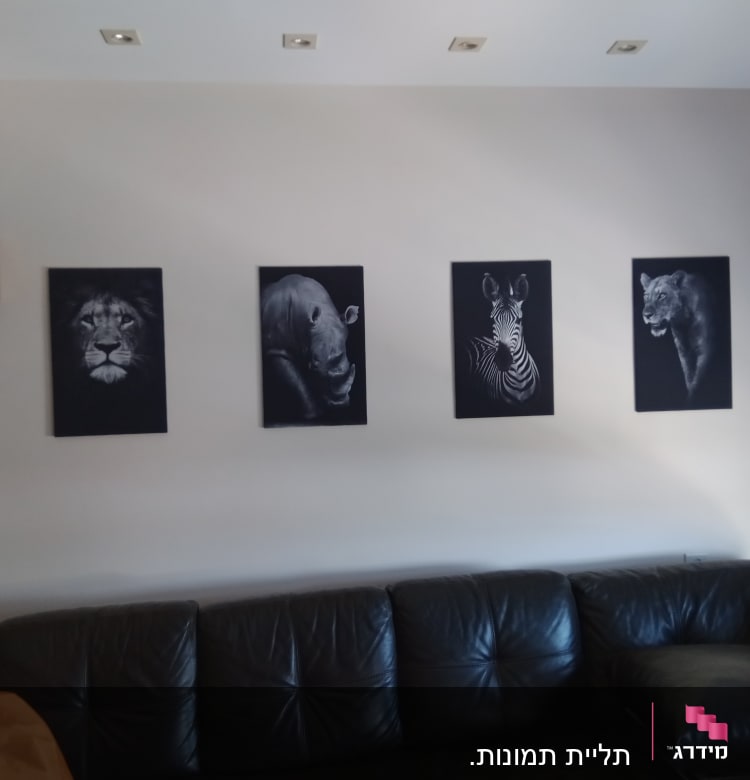 תמונות של חיות על קיר בסלון מודרני